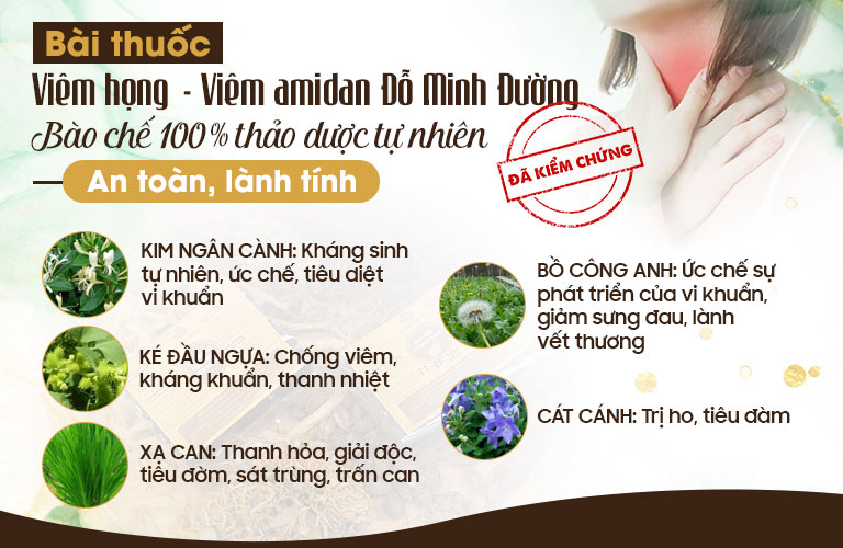 Thành phần dược liệu bài thuốc Viêm Họng - Viêm Amidan Đỗ Minh