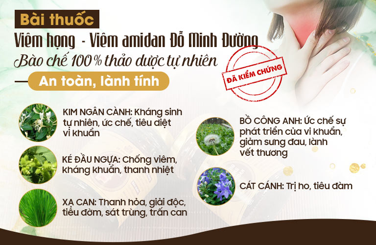 Thành phần bài thuốc Viêm Họng Viêm Amidan Đỗ Minh